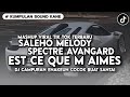 DJ SALEHO X MELODY SPECTRE X AVANGARD X EST CE QUE M AIMES SPEED UP & SLOWED