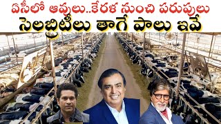 అంబానీల నుంచి అమితాబ్ బచ్చన్ దాకా సెలబ్రెటీలు తాగే పాలు ఇవే| Ambani family drinks milk Dairy