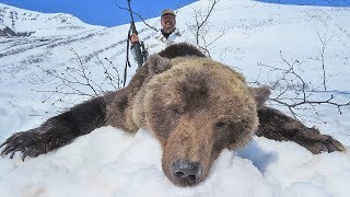 KAMCHATKA BROWN BEAR HUNTING WITH PROFIHUNT 2019