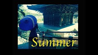 My Summer On Shikoku Island: Exploring the Japanese Countryside