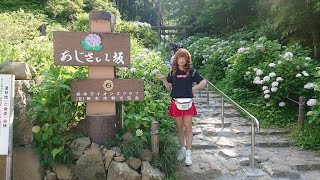 2021栃木県太平山のあじさい坂と太平山神社に行きました(^-^)v