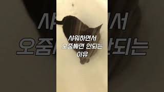 샤워하면서 오줌싸면 안되는 이유