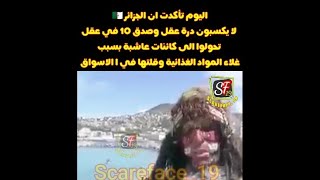 اليوم تأكدت ان الجزائر 🇩🇿 لا يكسبون درة عقل وصدق 10 في عقل تحولوا الى كائنات عاشبة بسبب غلاء