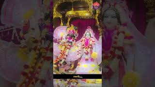 बांके बिहारी  |  Breathtaking Darshan of Banke Bihari Ji #bankebiharitemple #shrikrishna