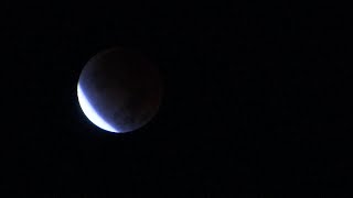 Will Tampa Bay be able to see 2021 lunar eclipse?