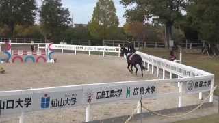 H26　全日本学生馬術三大大会　総合馬術　余力審査　2年　沖廣諒一　桜隼