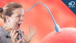 How Trauma is Passed Down Through Sperm