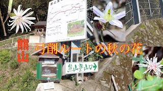 【低山登山】熊山　弓削コースのお花たち