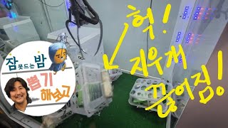 어떻게집에가요?  #잠못드는밤뽑기해보고 #구독과좋아요