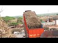 suger cane unload of truck 🔥