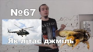 Лакуна №67: Як літає джміль