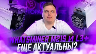 WHATSMINER M21s и L3+ ЕЩЕ АКТУАЛЬНЫ?