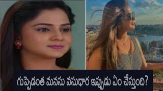 రిషిధార #rishi #mukesh #vasu #రక్షా గౌడ ఇప్పుడు ఎలావున్నారు? ఎంచేస్తున్నారు? @Allinone-cq9mz