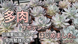 【ガーデニングＤＩＹ】多肉サボテン専門店　山城愛仙園さんで多肉勉強の旅