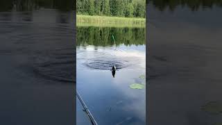 Fishing in Ukraine 09.2021