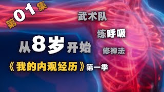 从8岁开始《我的内观经历》第01集童年北大荒农垦兵团 内证观察中医药大学内经针灸呼吸法门经络五行把脉传承的东方科学