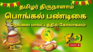 தமிழர் திருநாளாம் l பொங்கல் பண்டிகை l நெல்லை மாவட்டத்தில் கோலாகலம்