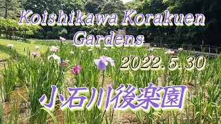 Koishikawa Korakuen Gardens 小石川後楽園　Rolling Strolling Tokyo