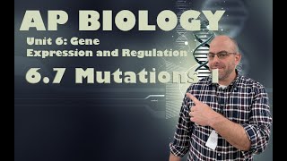 AP Biology - Unit 6 - 6.7 - Mutations 1