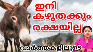 ആണുങ്ങളും കഴുതയിറച്ചിയും തമ്മിൽ ഒരു ബന്ധമുണ്ട്. അതറിഞ്ഞാൽ മലയാളികൾ അങ്ങോട്ട് വെച്ചു പിടിക്കും