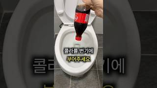 콜라를 변기에 부었더니... 믿기지 않는 변화!