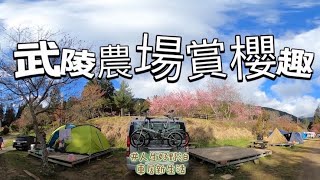 （車露）武陵農場賞櫻趣#人生好野泊 #車居新生活 #vanlife