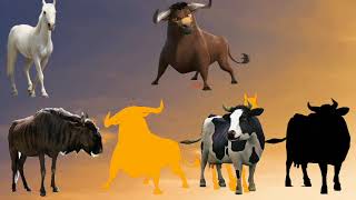 cute animals bison,bull,horse and cow, choose the right horse,cow,bull or bison