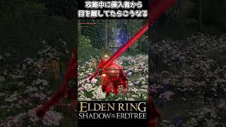 【エルデンリング侵入】侵入者がいる時に一人になってはいけない理由 #eldenring  #エルデンリング