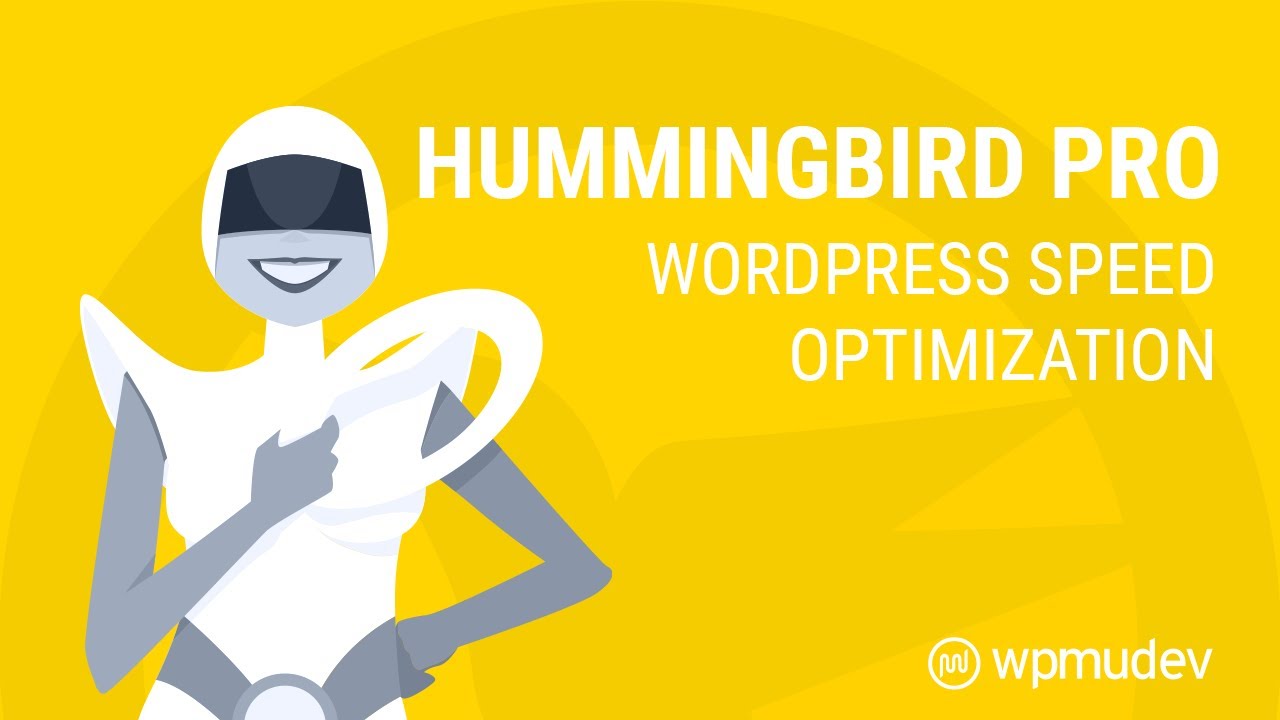 Hummingbird Pro - Wordpress Speed Optimization Plugin - YouTube