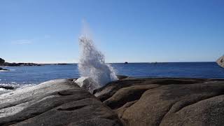 Bicheno Blowhole, Tasmania