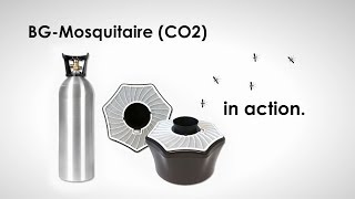 Biogents BG-Mosquitaire CO2 in Action