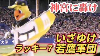 2023/6/14 ハリーホーク達、神宮で『いざゆけ若鷹軍団』を轟かすビジターラッキー7（福岡ソフトバンクホークス）