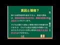 精神障がい（統合失調症 発症原因）　3時間目「作業療法士（ot）の為の国家試験対策」