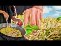 Peaceful Countryside | Growing Bean Sprouts in Banana Leaves to make Pancake Filling | Up Vi Bi