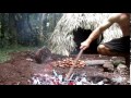 primitive technology making poisonous black bean safe to eat moreton bay chestnut