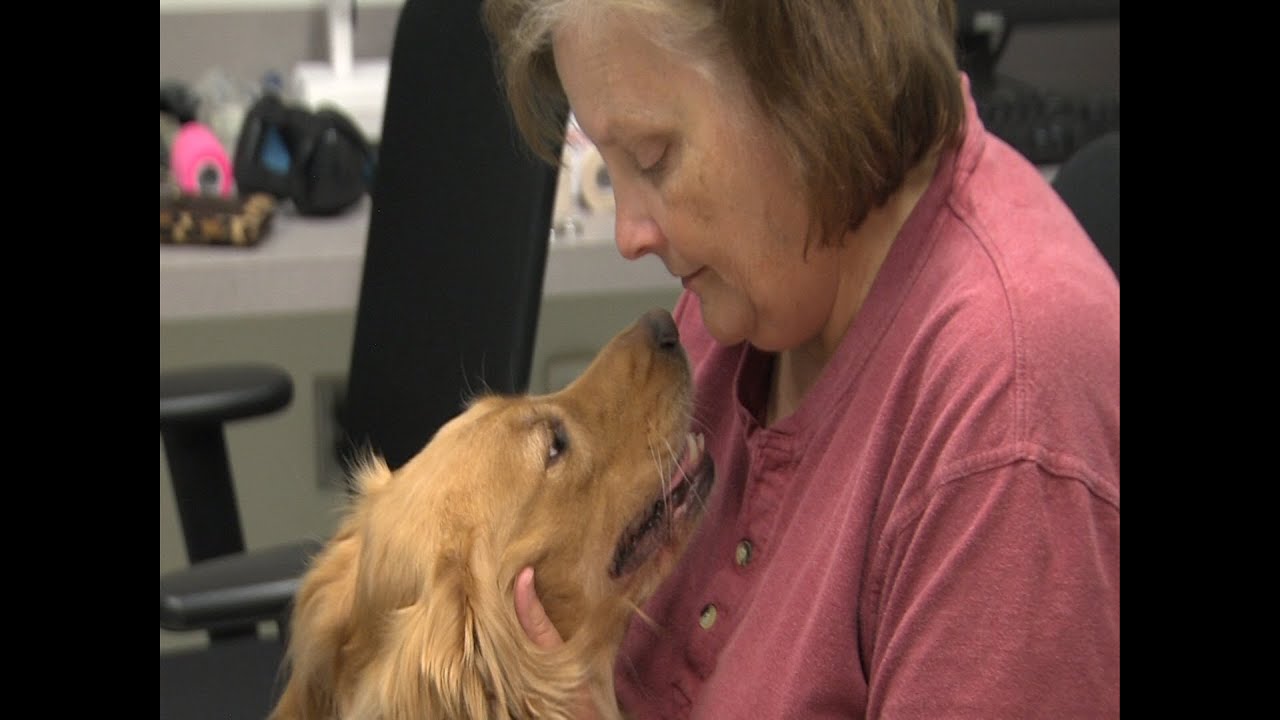 How Dogs Love Us Youtube
