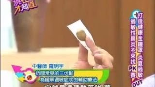 羅明宇養生密技：三伏貼緩解過敏!!