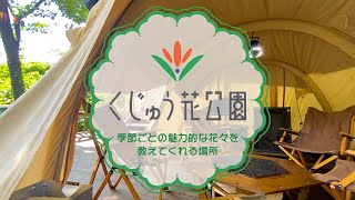 【くじゅう花公園】約500種500万本の花々が咲き誇る花公園