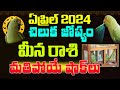 మతిపోయే నిజాలు | MEENA RASI APRIL 2024 | #CHILUKAJOSYAM | #PARROT ASTROLOGY 2024 | SHUBHAM TV