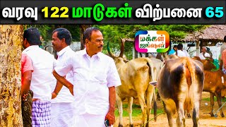 வரவு 122 மாடுகள் விற்பனை 65 மாடுகளுக்கு மேல், 09-10-2022, Palayakottai Mattu Thaavani