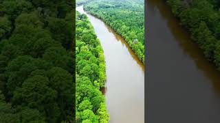 Caddo Lake: A 4K Journey Through Nature's Masterpiece #DJI