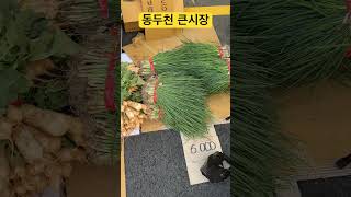 동두천 큰시장 배추 가격 #오일장 #시골피디 #동두천큰시장 #동두천 #동두천시