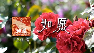 如愿 - 王菲『你是遥遥的路 山野大雾里的灯 见与不见都一生与你相拥 而我将爱你所爱的人间 愿你所愿的笑颜 你的手我蹒跚在牵 请带我去明天』【動態歌詞/Vietsub/English Lyrics】