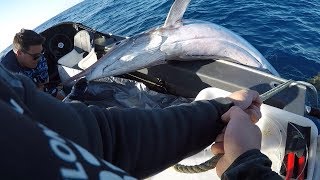 190.4KG Striped Marlin 4.65m Boat, NZ