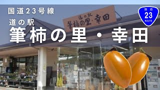 【車載動画】国道23号線 道の駅にしお岡ノ山～筆柿の里・幸田