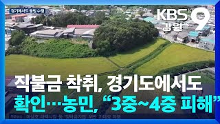 직불금 착취, 경기도에서도 확인…농민, “3중~4중 피해” / KBS  2024.09.24.