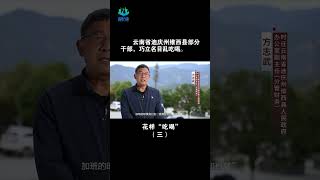 云南省迪庆州维西县部分干部，巧立名目乱吃喝