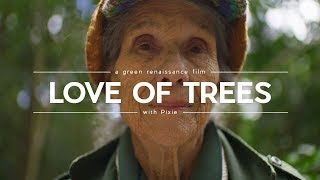 Love of Trees