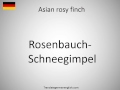 how to say asian rosy finch in german