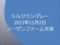 シルクラングレー　13年11月天栄